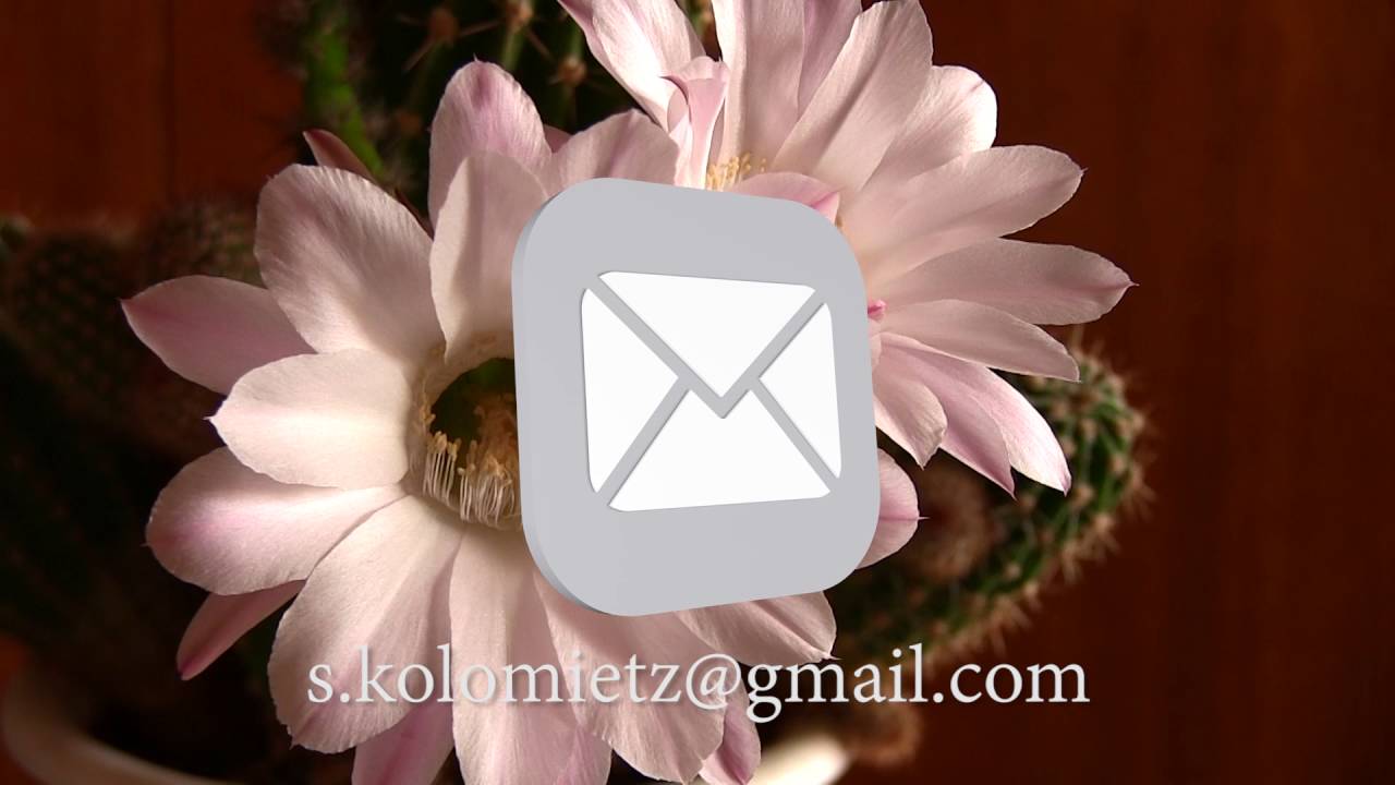 e-mail chroma key green screen animation free