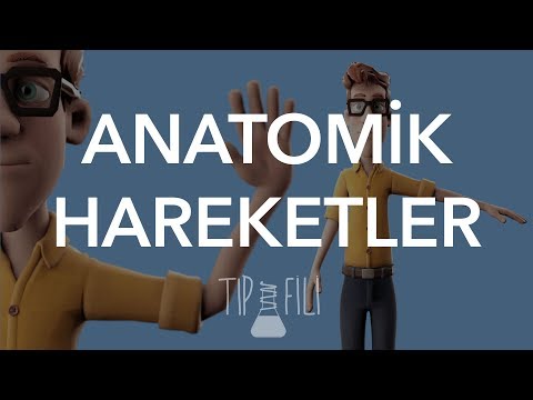 Anatomik hareketler 3d animasyonlu anlatım..