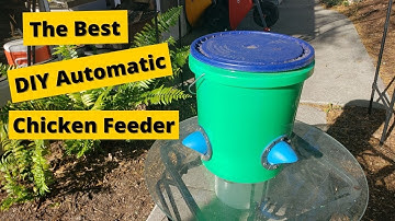 DIY Automatic Chicken Feeder: Quick, Clean and Efficient