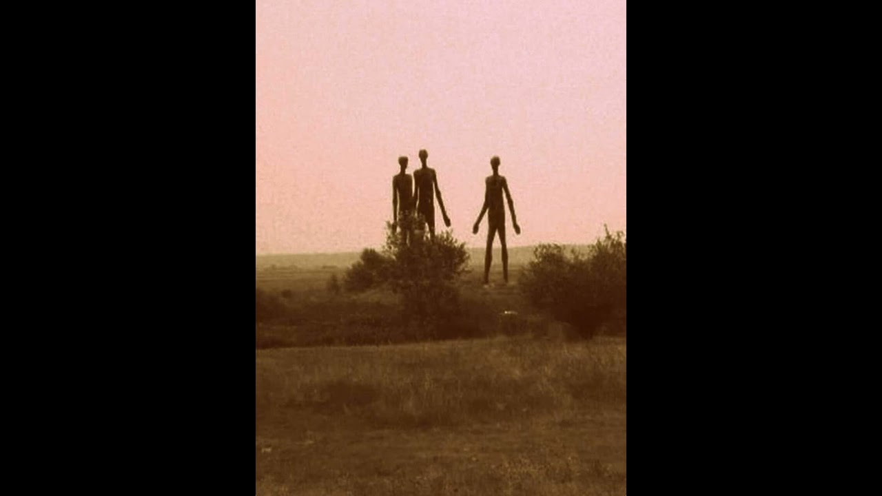 Tommy Dockerz, Bill Shakes, Lee Scott, Black Josh & Bang On! - CULT SAG ONE