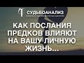 Александр Сагайдак о влиянии предков на вашу личную жизнь