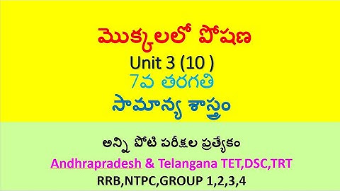 మొక్కలలో పోషణ || 7th Class imp bits in telugu || AP TET,DSC, TS TET,DSC,RRB,NTPC,GROUPS