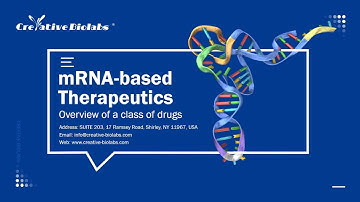 mRNA-based Therapeutics - Creative Biolabs