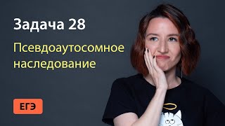 Задача 28 на псевдоаутосомное наследование из ЕГЭ по биологии | ЕГЭ-2024 по биологии