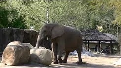 Field Trip to Riverbanks Zoo Columbia SC 4-1-2015