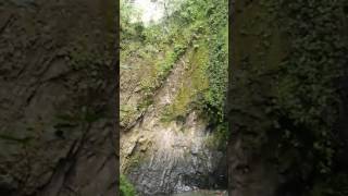 Cascada el Tambo - TENA