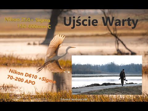 #Przyborów #Słońsk #Ujście