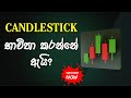 Candlestick භාවිතා කරන්නේ ඇයි? | Why We Use Candlesticks in Forex Trading (2025)