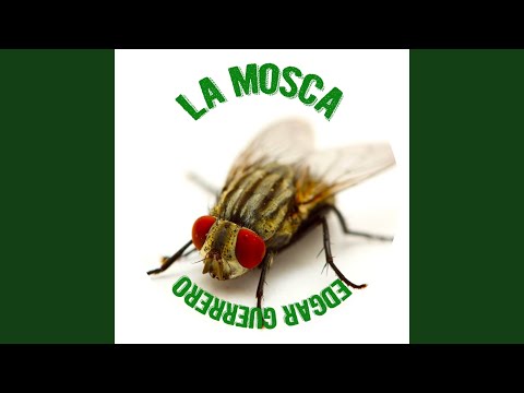 La Mosca