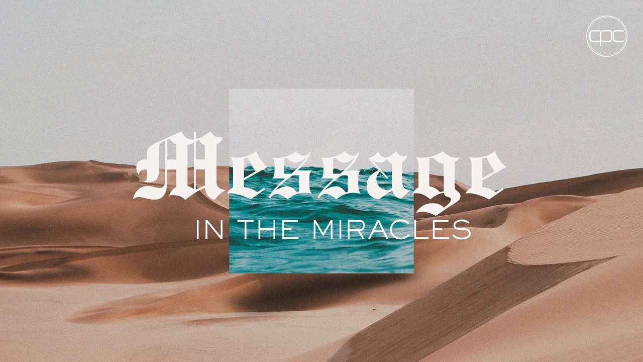 Filled for Purpose  | Stephen Ojo