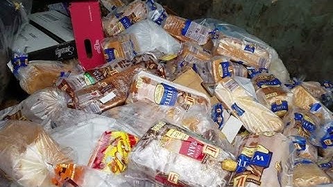 DUMPSTER DIVING ALDI FOR 12 DAYS PART 1