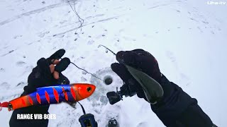 Две приманки - две рыбы - СУДАК и ЩУКА! Открываем сезон зимней рыбалки 2023 на реке Свияга