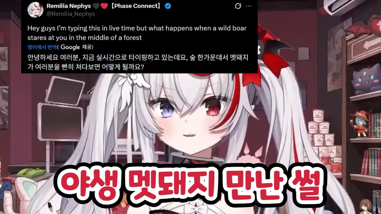 레미와 멧돼지