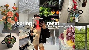 SPRING RESET | deep cleaning, fresh energy, productivity, new goals + recipes