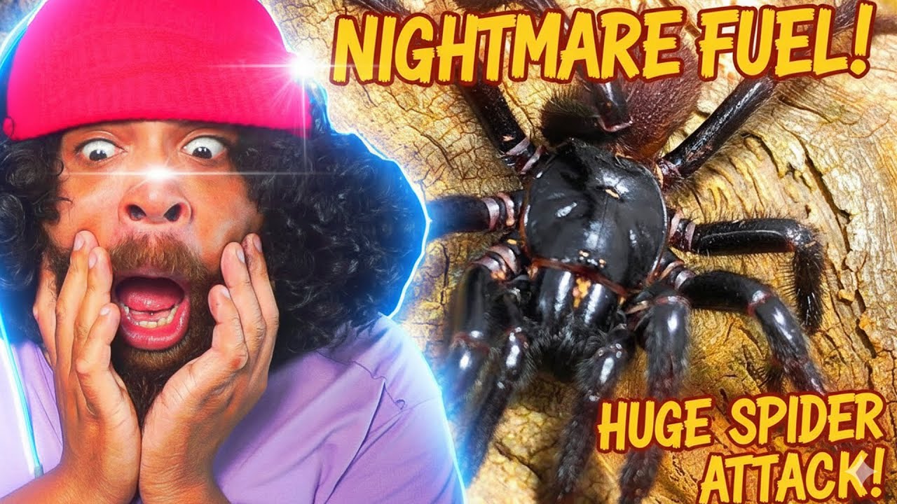 Reacting to More Parz FOR THE FIRST TIME!