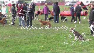 Scandal AJAXS Agility March 2011