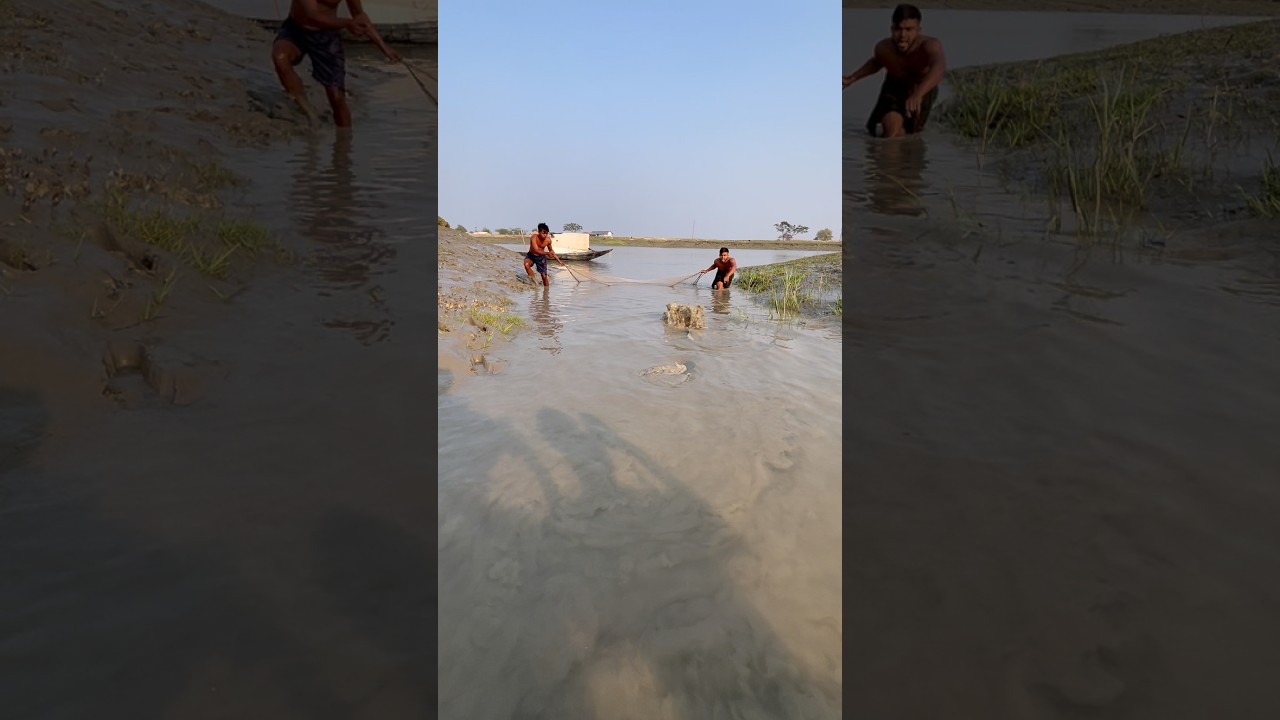 Amazing big fish catching from river canel 