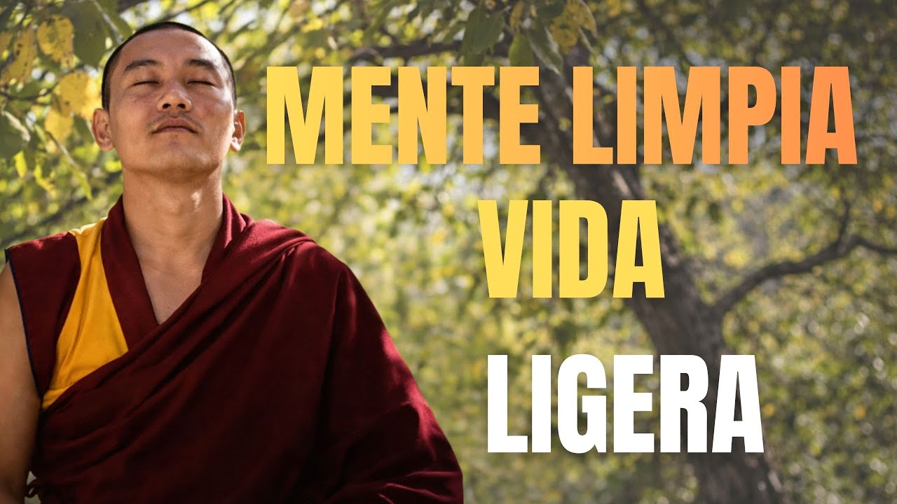 LIMPIA TU MENTE HOY: 10 ENSEÑANZAS BUDISTAS PARA SOLTAR EL RUIDO ...