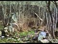 La Maldici N De La Bestia 1975 Pelicula pleta B