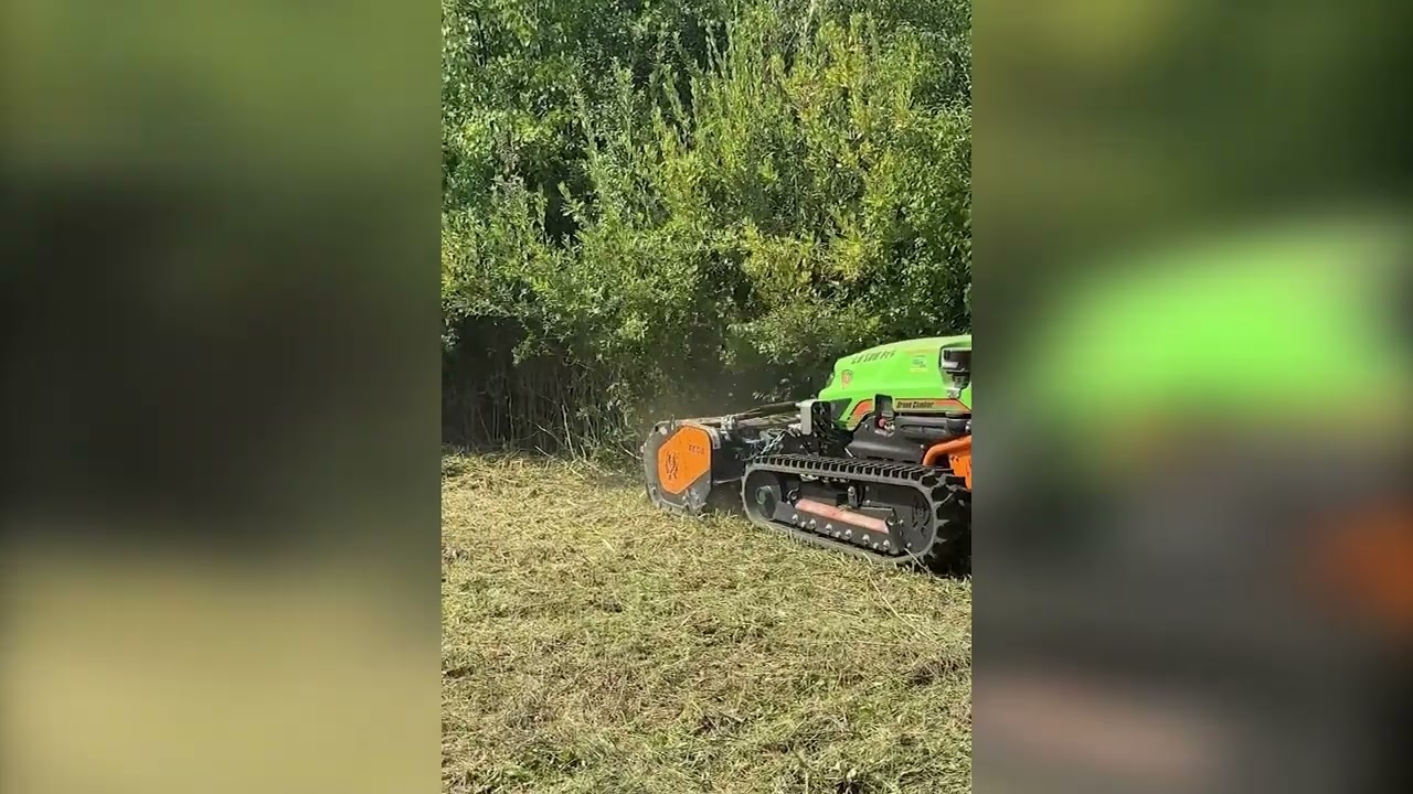 Dețineți un teren invadat de vegetație necontrolată și nu știți de unde să începeți curățenia?