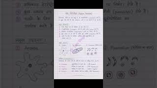 संघ प्रोटोजोआ  class 12th ll #biology #class 12th #science #notes #competitiveexams