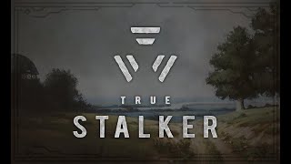 True stalker - самый лучший мод на сталкер зов припяти #stalker #callofpripyat #truestalker