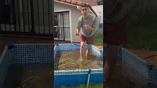 ¡Le remodele la casa a un Lagarto! 🐊
