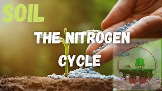 The Nitrogen Cycle, Fixers, and Fertilizers in Our Soil