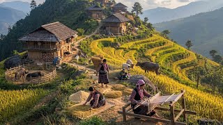 Rural Life on the Vietnam–China Border | Raising Cattle, Drying Rice &amp; Weaving in the Mountains