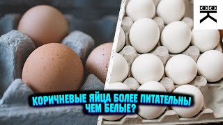 Коричневые яйца более питательны чем белые? #shorts