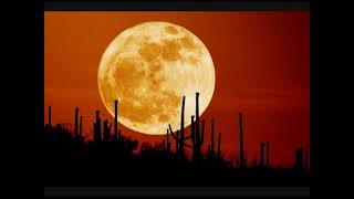 Moon 2009