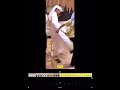 يويلييييييي قلبيييي