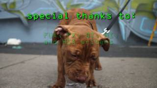 !!FUA BBOY BBQ 2011!!    [HD]