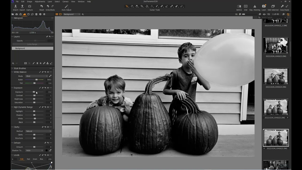 Editing Black and White Negatives in Capture One