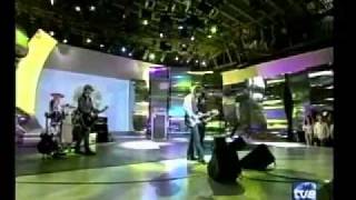 THE VINES-Winning Days  live on spanish tv show.m4v