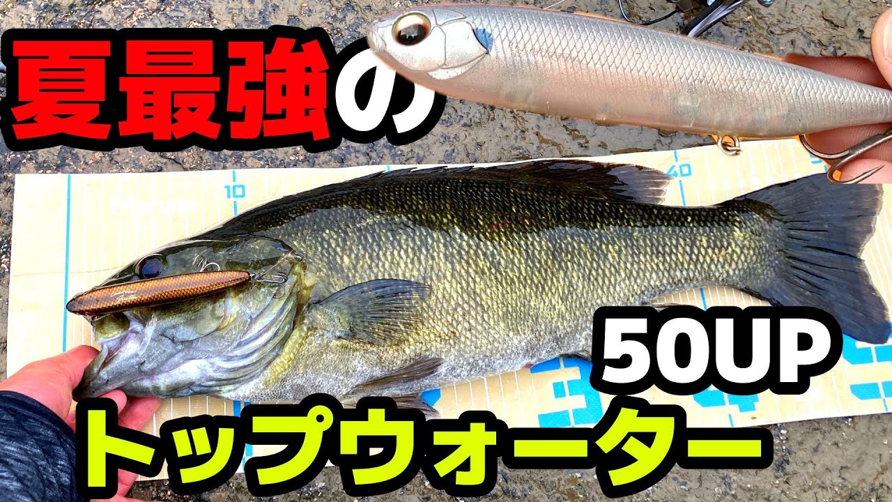 釣れる水面炸裂系ルアーには秘密があった。この首振りがほんとに効くんです【バス釣り】【ジャスティーン】【スモールマウスバス】