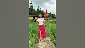 A Big Rooster That Can Understand Human Words I Can T Bear To Eat Such An Obedient And Non Biti 