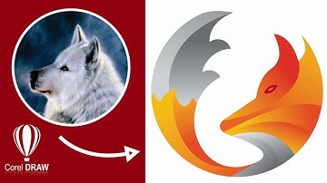 Thiết kế Vector kết hợp với ảnh minh họa