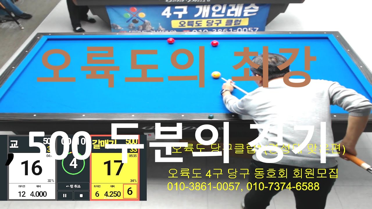 교 500 갈매기 500