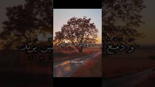 SAUQBILU YA KHALIQI SYEIKH MANSUR ALSALIMI || Story WA