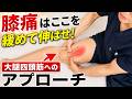 膝の痛みを改善したいなら最初にコレ!東京都渋谷区恵比寿の整体院蒼