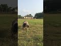 #earlymorningtraining