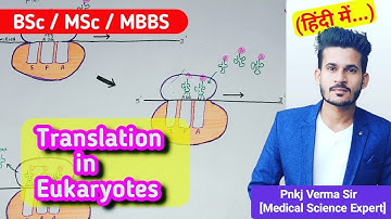 Translation in Eukaryotes || हिंदी में || Pnkj Verma Sir || BSc, MSc, CSIR NET