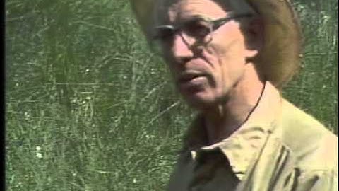 The Chernozemic Order - Canadian Soil Classification Series