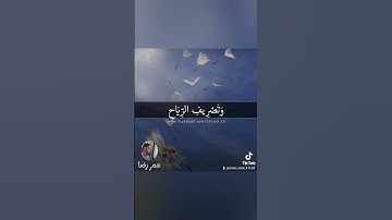 #القرآن_الكريم #أرح_سمعك_وقلبك #آيات #لايك #قرآن #دويتو #مصر #حالات_واتس #ياسر_الدوسري #duet