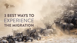 3 Best Ways to See the Wildebeest Migration