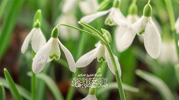 الْحَجُّ أَشْهُرٌ مَّعْلُومَاتٌ | سورة البقرة | آية 197