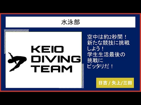 【2023慶應新歓実行委員会】　水泳部