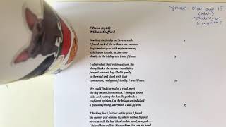 Fifteen Annotations