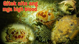 ep325. Dive2.ito ang alimasag na pagkinain ng mga high blood sigurado gitek.